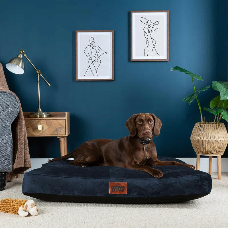 Luxurious Comfort: Machine Washable Cushioned Velvet Pet Bed for Restful Sleep