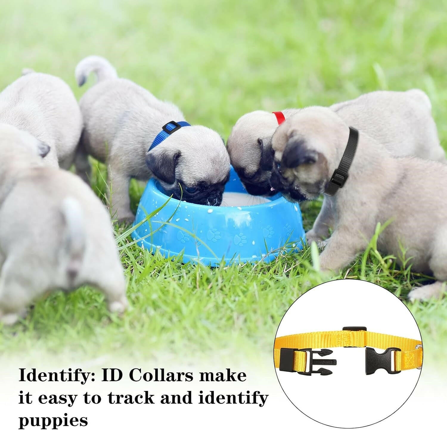 Yorgewd 10-Pack Adjustable Puppy ID Collars with Secure Push Lock Design for Easy Litter Identification