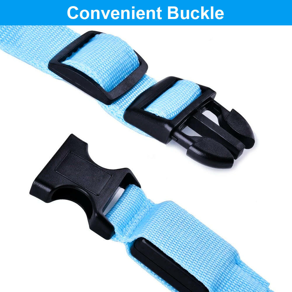 Enhanced Visibility USB Rechargeable LED Dog Collar with Flashing Luminous Nylon for Safety