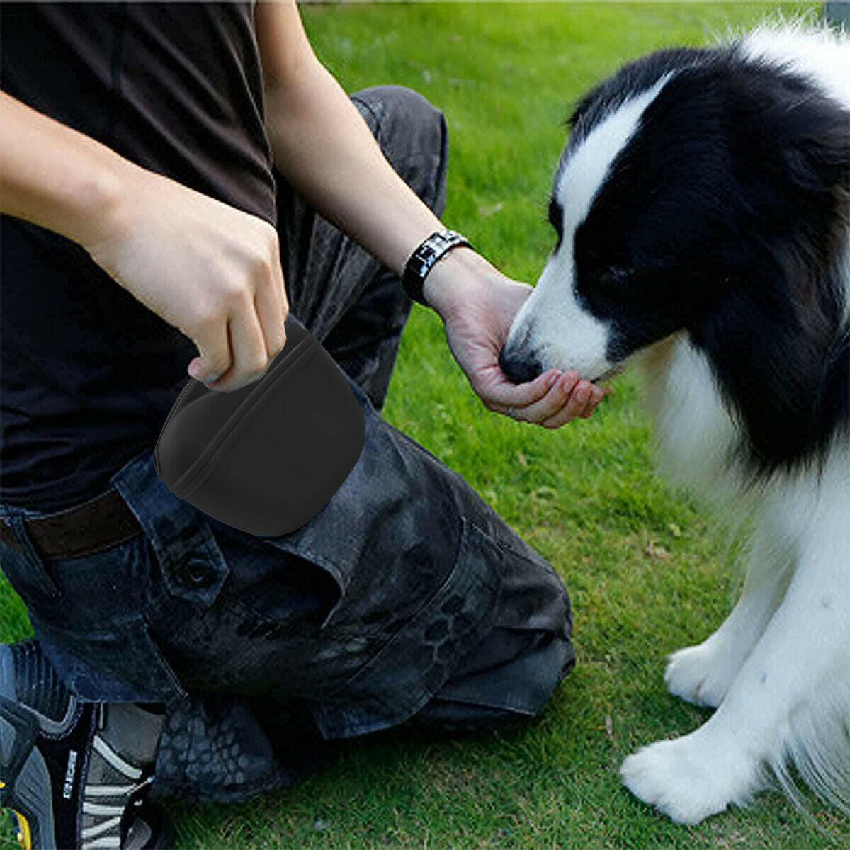 Portable Silicone Dog Training Food Pouch with Clip