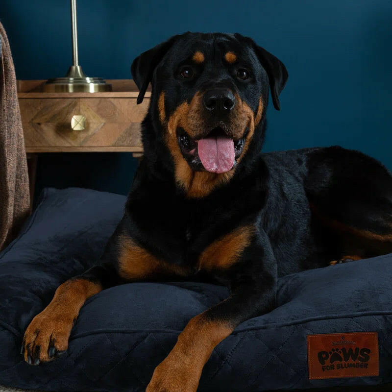 Luxurious Comfort: Machine Washable Cushioned Velvet Pet Bed for Restful Sleep